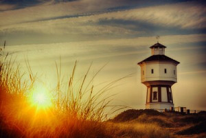 Fototapete Andere Sommer, reisen, Ernährung, Sand, Ausflug