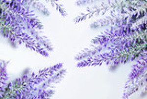 Fototapete Andere Hintergrund, Muster, Natur, isoliert, weiß