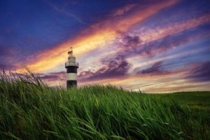 Fototapete Leuchtturm, Niedersachsen, Sonnenuntergang, Gras, Wiese