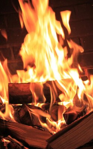 Fototapete Feuerstelle, Feuer, Brennholz, Wald, Wärme