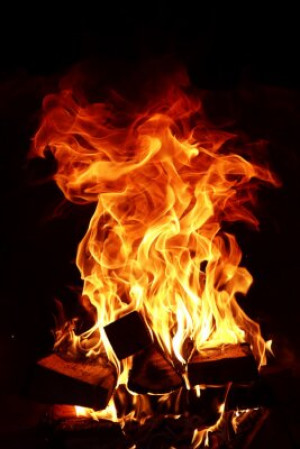 Fototapete Andere Backofen, Feuer, Ziegel, Holz, Pizza