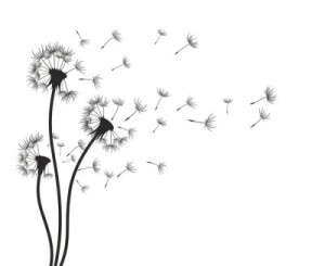 Fototapete Pusteblumen Natur, flora, Zeichnen, Vektor, Blume