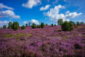 Fototapete Andere heidnischen, Himmel, Natur, Wanderung, Urlaub