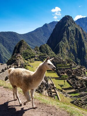 Fototapete Andere reisen, Urlaub, indisch, besuchen, inca