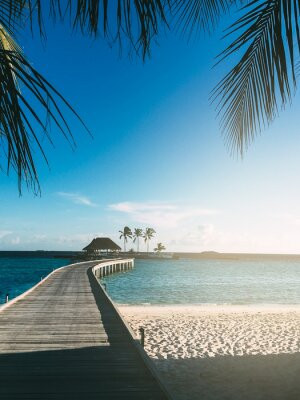 Fototapete Malediven, Pier, Urlaub, Lagune, Insel