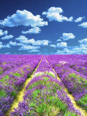 Fototapete Lavendel gelb, art, Schönheit, Hintergrund, malen