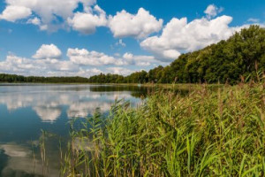 Fototapete Andere Natur, Wald, Urlaub, Cloud, polen