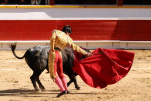 Fototapete Andere Kostüm, Unterhaltung, Spanien, Sport, kämpfen