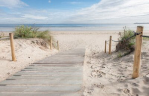 Fototapete Holz, Sand, Meer, Urlaub, Strand