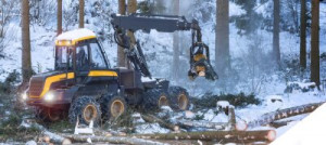 Fototapete Andere gehackt, Aufklärung, Abholzung, Wald, Forstwirtschaf