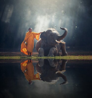 Fototapete Andere Elefanten, siam, klösterlich, Buddhismus, Kultur