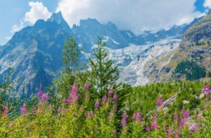 Fototapete Natur, Sommer, Wasser, natürlichen, Wald