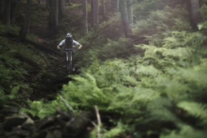 Fototapete Andere Menschen, junge, Schmutz, Natur, im Freien
