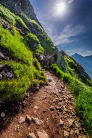 Fototapete Andere groß, Natur, Sommer, reisen, grün