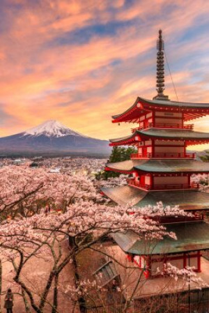 Fototapete Andere sakura, Pagode, Frühling, japan, fuji