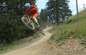Fototapete Andere springen, Wald, Pfad, Wiese, Radfahren