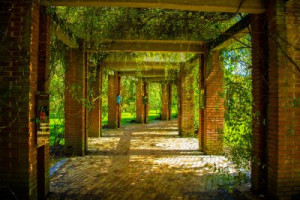 Fototapete Andere Pfad, Durchgang, Natur, Ast, Architektur