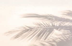 Fototapete Strand Gold, schwarz, Hintergrund, Natur, Sommer