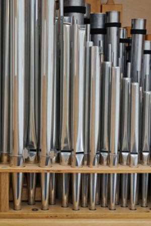 Fototapete Andere Orgelpfeife, Orgel, Metall, abstrakt, Wald