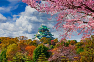 Fototapete Andere japan, Osaka, Schloss, Kirsche, Kirschblüte