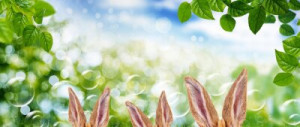 Fototapete Andere Ostern, Hase, Osterhase, Natur, lea