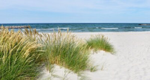 Fototapete Andere ostsee, Düne, Sand, Gras, reisen