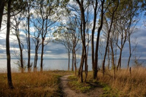 Fototapete ostsee, Landschaft, Natur, Wald, Herbst