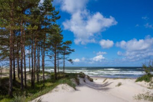 Fototapete Andere Schönheit, ansehen, Hintergrund, Natur, Sommer