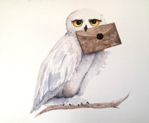 Fototapete Tier, art, Schnabel, schön, Vogel