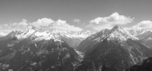 Fototapete Andere schwarz, Hintergrund, Natur, Sommer, weiß