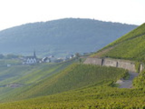 Fototapete Andere Panorama, Skyline, aussehen, Landschaft, Natur