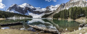 Fototapete Andere Natur, Wasser, natürlichen, Wald, Wanderung