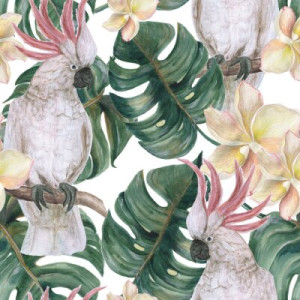 Fototapete Kakadu, Papagei, tropischen, Blatt, plumeria