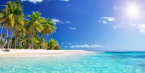 Fototapete Strand Strand, tropischen, Insel, palm, Baum
