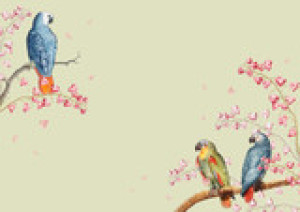 Fototapete Andere Hintergrund, african american, Tier, antike, Vogelgr