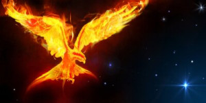 Fototapete Andere phoenix, Vogel, Feuer, Symbol, Flammen