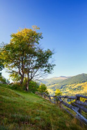 Fototapete Andere Berg, Baum, Natur, Rumänien, Landschaft