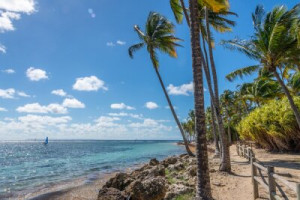 Fototapete Andere palm, Strand, tropischen, Welle, Himmel