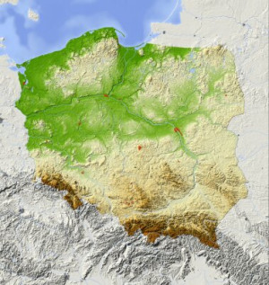 Fototapete 3d, Welt, europa, polen, Diagramm