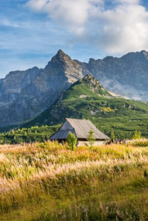 Fototapete Andere ansehen, Sommer, anmutigen, reisen, Pfad