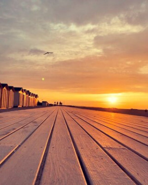 Fototapete Andere Strand, Sand, Sonne, Fuß, reisen
