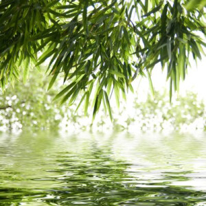 Fototapete Textur, Hintergrund, abstrakt, Natur, Wasser