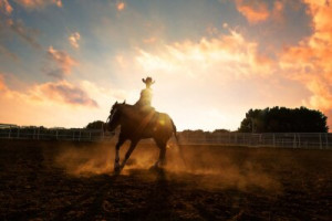Fototapete Andere Pferd, Sonnenuntergang, Silhouette, cowgirl, Himmel