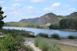 Fototapete Andere rhein, Wasserstraße, Sommer, Lastkahn, Weingut