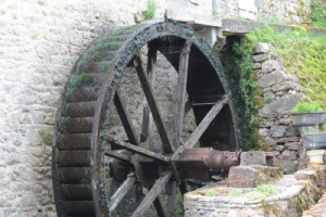 Fototapete Andere Steuer, Alter, Wald, Windmühle, Wasser