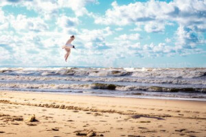 Fototapete Andere ostsee, danzig, polen, Urlaub, Möwe