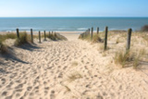 Fototapete Andere Sand, Düne, Strand, fühlen, Gras