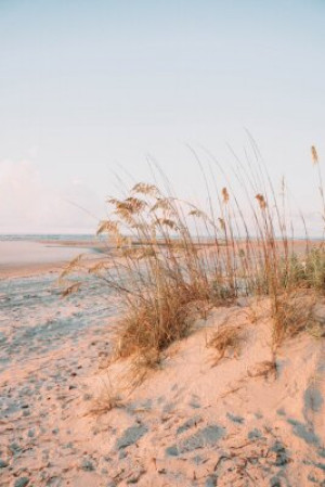 Fototapete Andere Strand, Sand, Gras, Meer, Düne