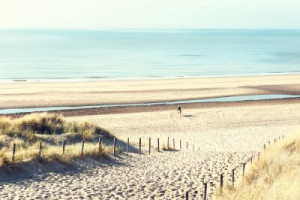 Fototapete Andere Hintergrund, Natur, Sommer, Pferd, reisen