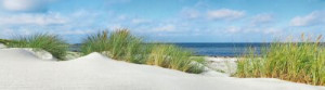 Fototapete Meer Meer, ostsee, Strand, Küste, Wappen